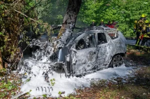 Dacia kracht gegen Baum und geht in Flammen auf: 19-Jähriger stirbt