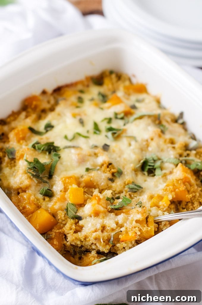 Quick Nutritious Family Dinner Recipes for Weeknights