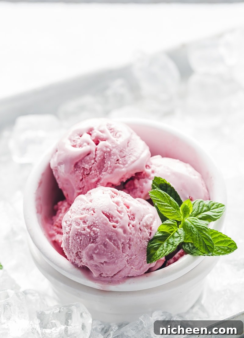 27 Homemade Ice Cream Recipes for Every Taste