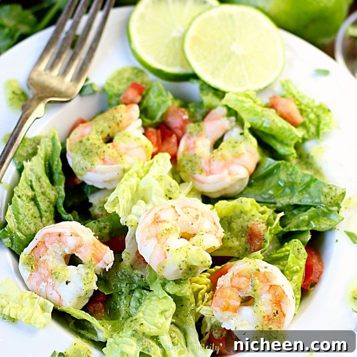 Cilantro Lime Shrimp and Avocado Salad