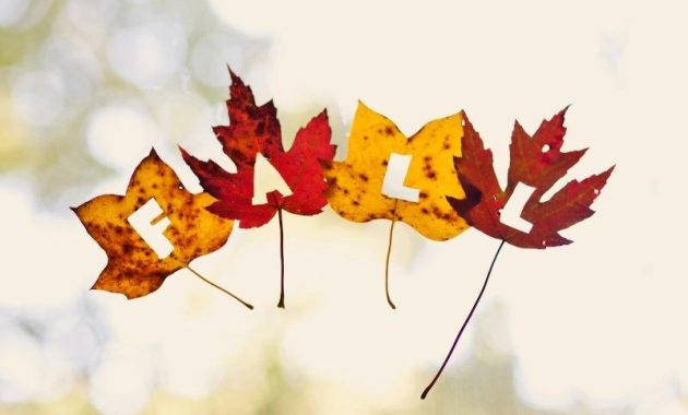 9 Budget-Friendly Fall Decorating Ideas 1 featured 283556