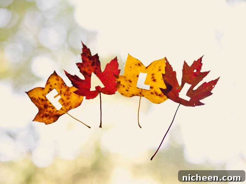 9 Budget-Friendly Fall Decorating Ideas