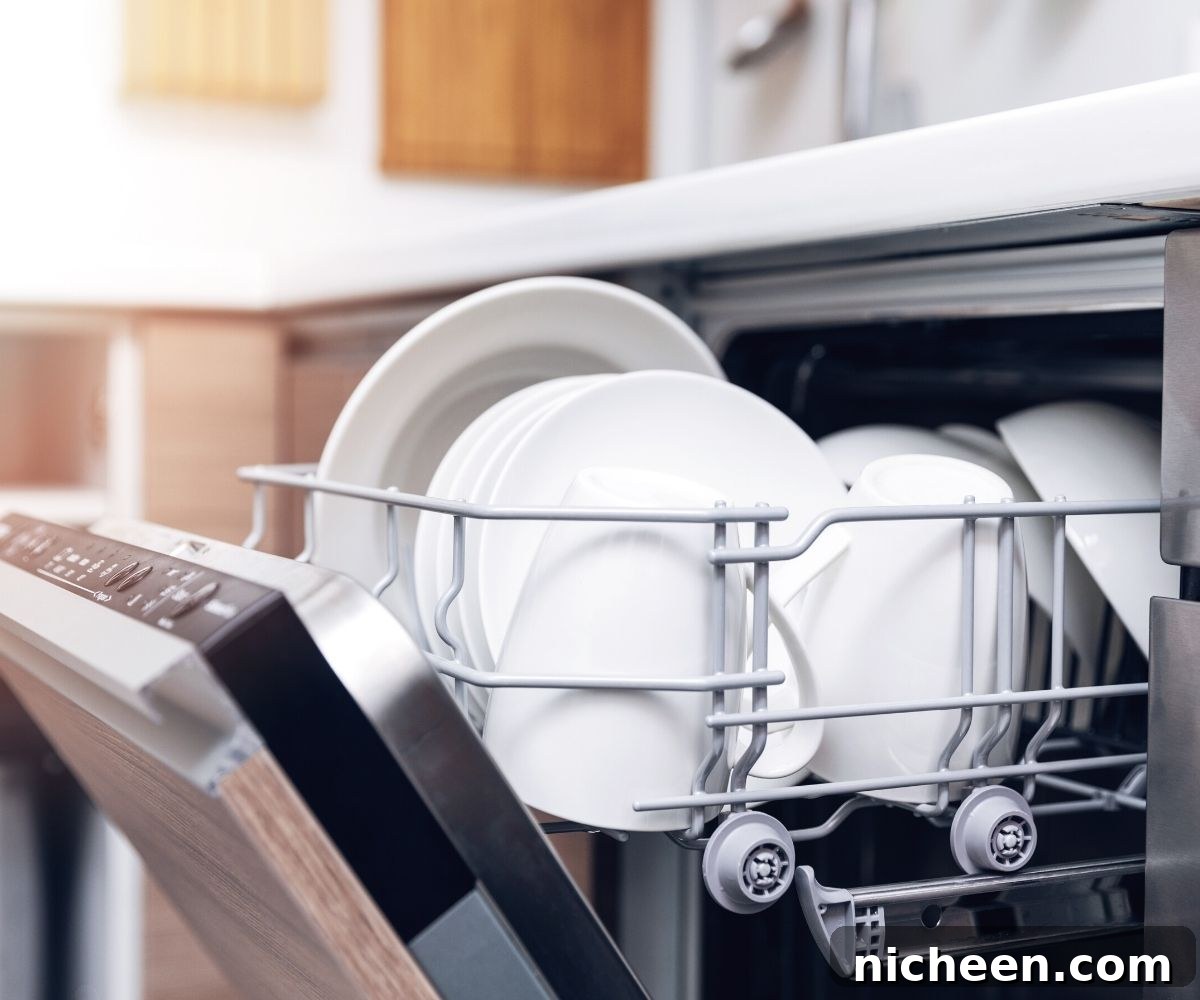 Deep Clean Your Dishwasher: Remove Odors and Clean the Filter