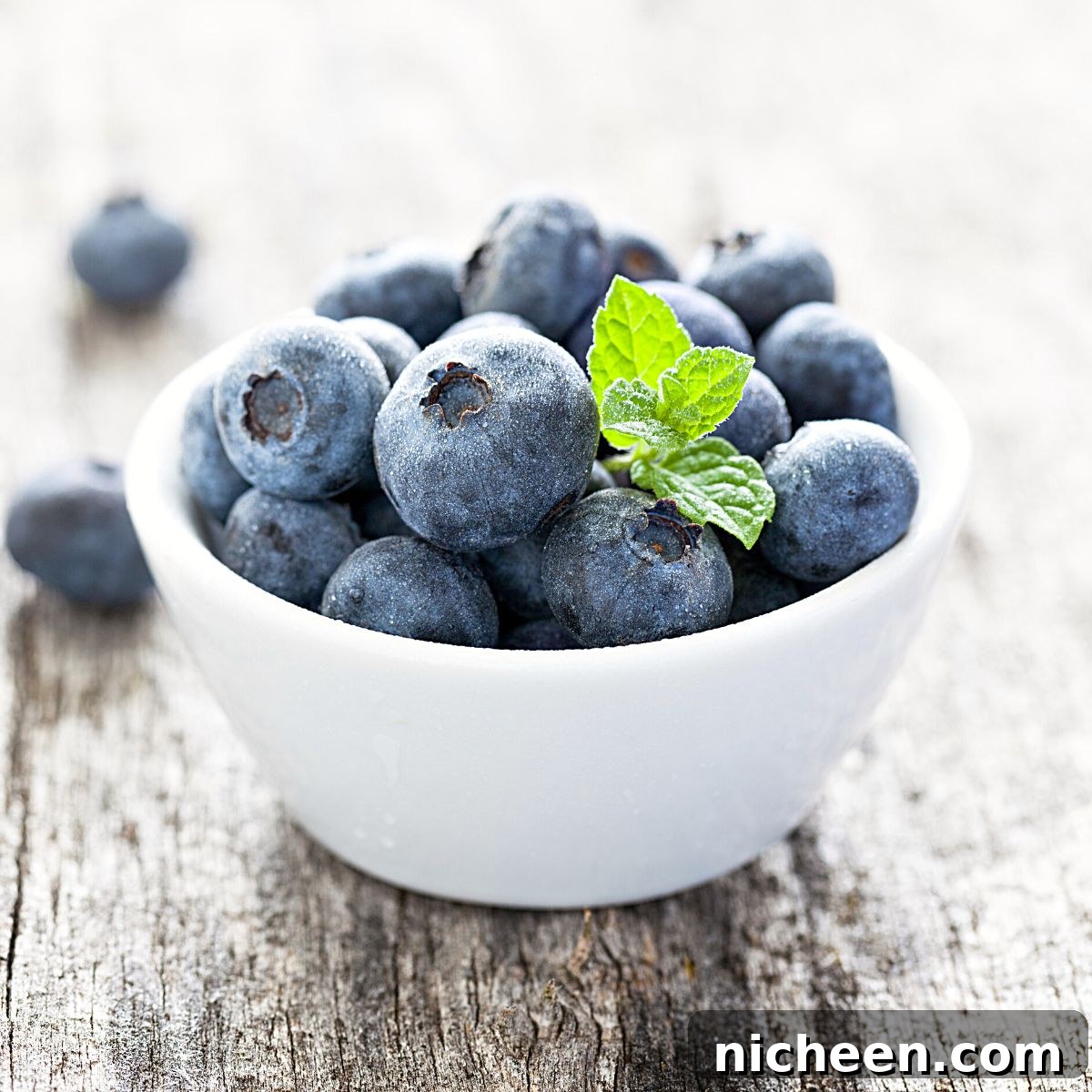 Store and Freeze Fresh Blueberries Without Losing Flavor 8 Store and Freeze Fresh Blueberries Without Losing Flavor