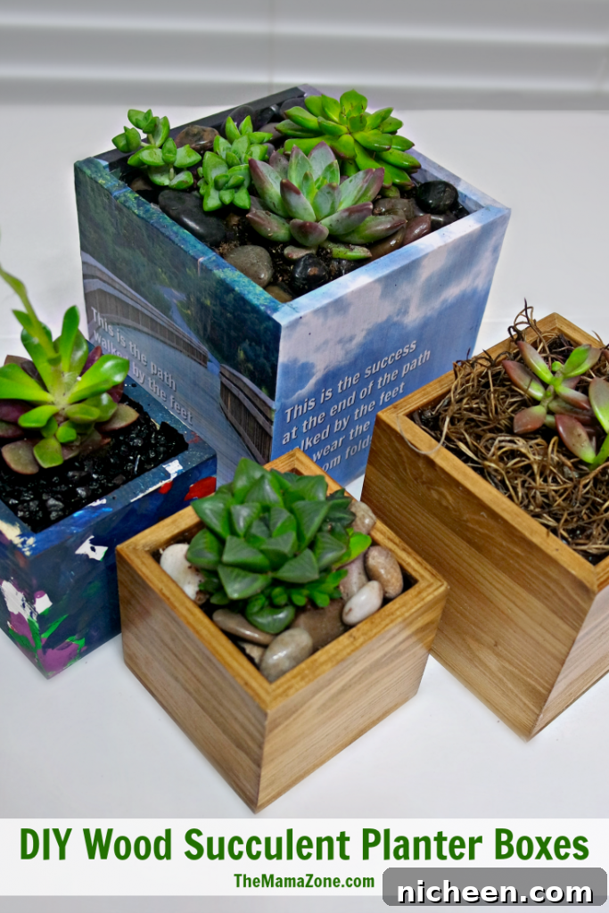 Spring DIY Decor Ideas to Refresh Your Home 7 Wood succulent planter boxes