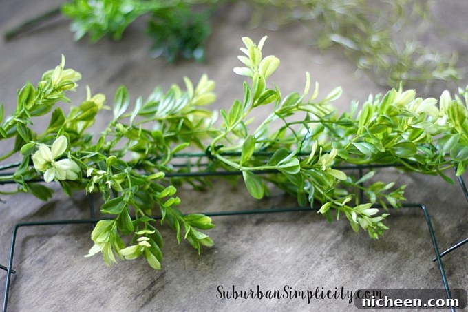 How to make a boxwood wreath with a wire frame.