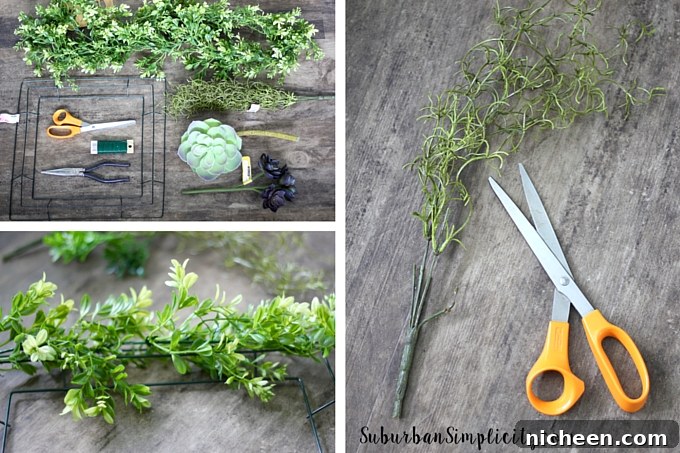 How to make a Succulent and Boxwood wreath steps