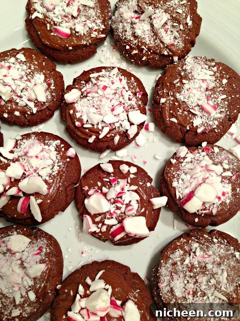 Cookie Swap Recipe You need, Nutella Chocolate Cookies