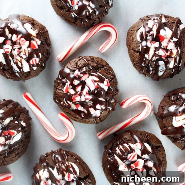 Christmas Cookie Recipes