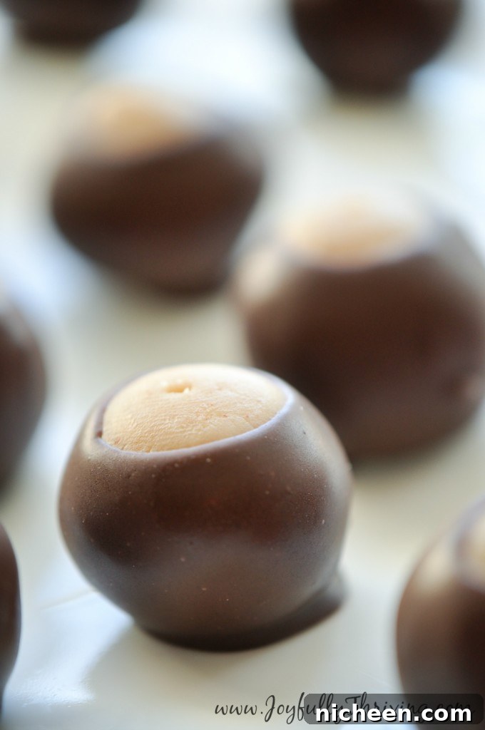 Cookie Recipes for Cookie Exchange, Classic Buckeyes