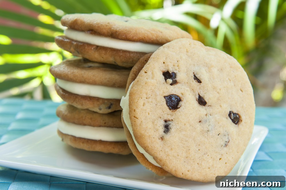 Ice cream cookie sandwich