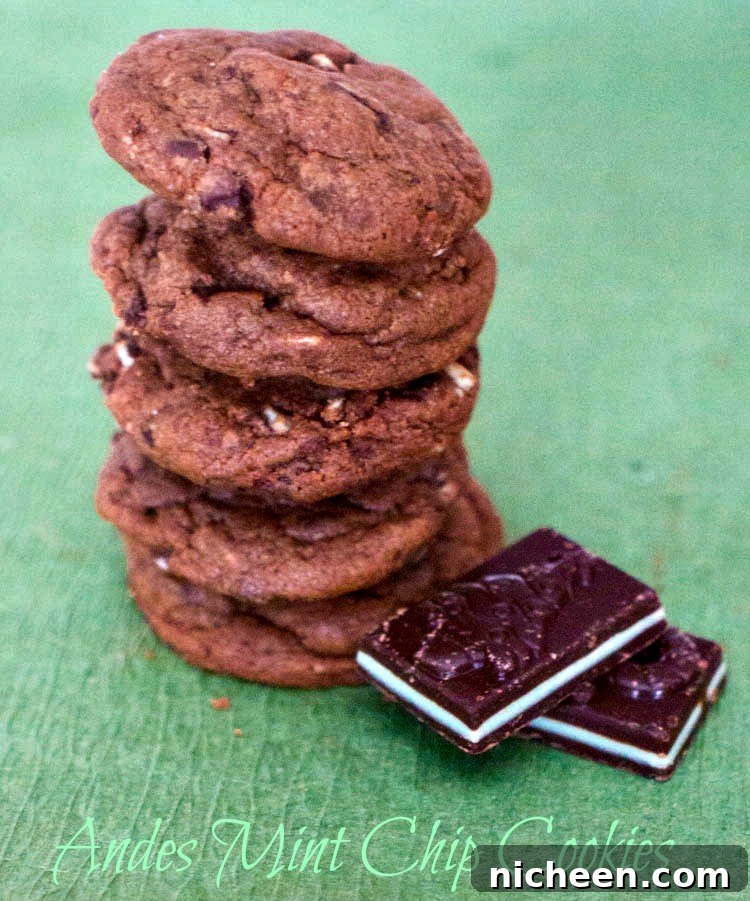 Andes Mint Chocolate Cookies