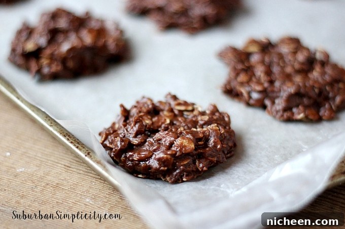 Quick No-Bake Chocolate Peanut Butter Cookies 3 No Bake Chocolate Peanut Butter Cookies ready to eat