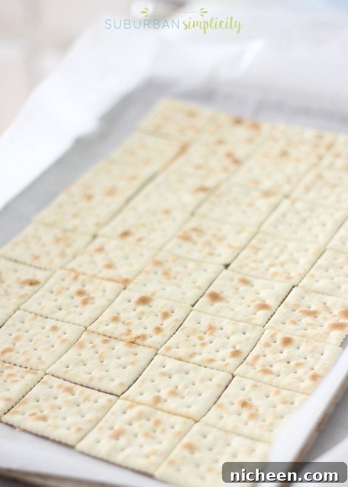 Cranberry Bliss Saltine Toffee Bars with White Chocolate 4 Saltine toffee with saltine crackers