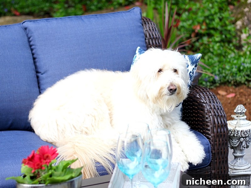 25 Summer Activities Tweens Will Love 5 You can totally do a Backyard Patio Makeover in One Afternoon! Update and refresh for a new outdoor living space.