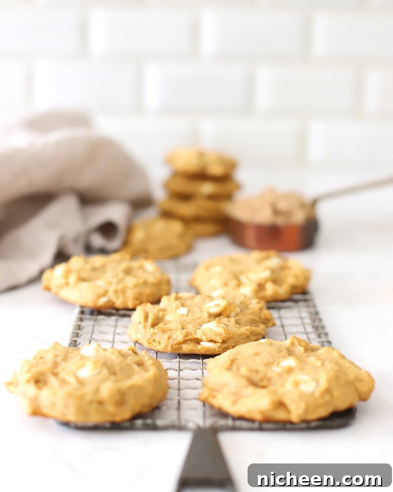 White Chocolate Chip Pumpkin Spice Cookies Recipe 7 These Pumpkin Spice Cookies are perfect for fall. A pumpkin cookie recipe that's almost impossible to not eat warm from the oven!