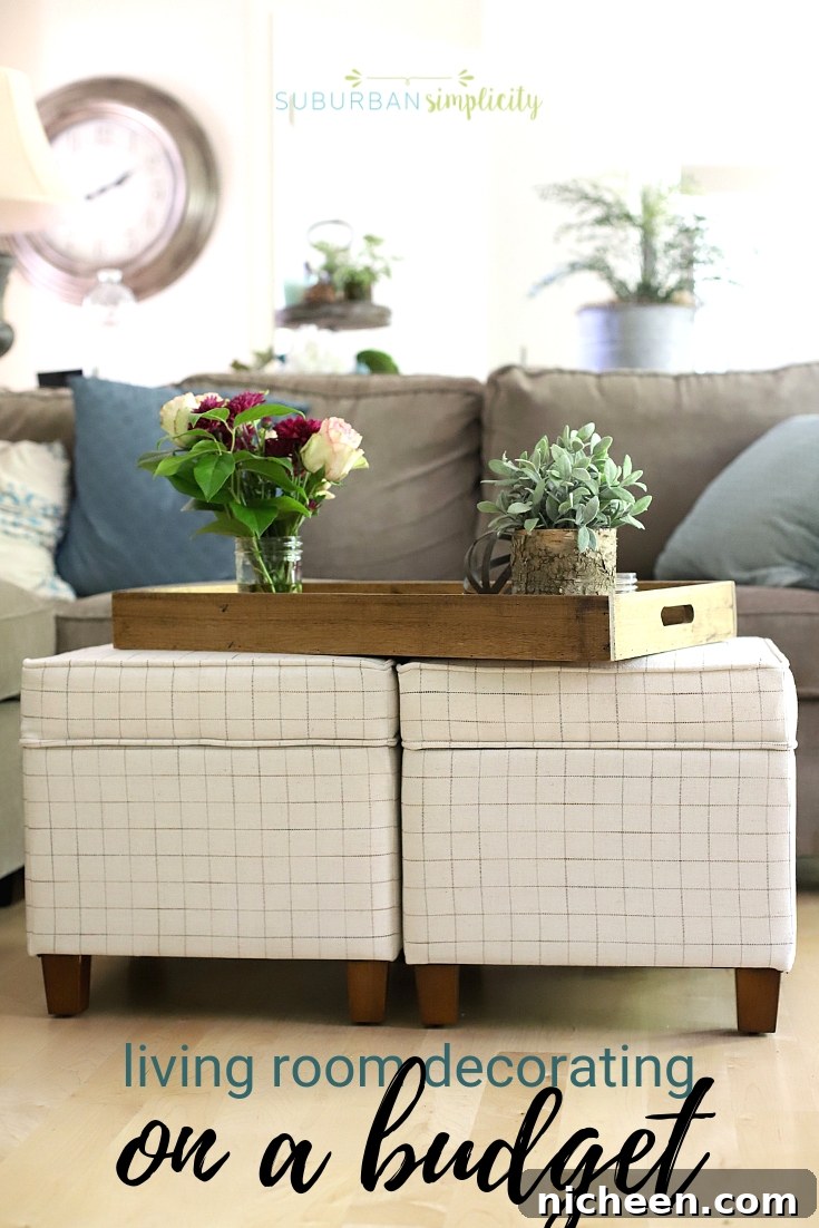 Get the room you’ve always wanted on the budget your already have! These creative Living Room Decorating Ideas on a Budget will help you get there!