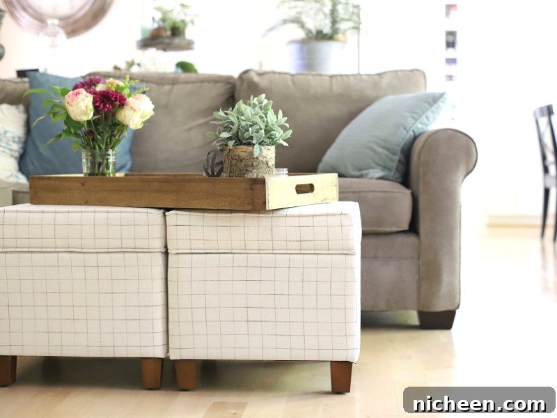 Living room decorating ideas on a budget.