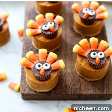 How to Make Pumpkin Pie Turkeys for Thanksgiving 11 Pumpkin Pie Turkeys for Thanksgiving.