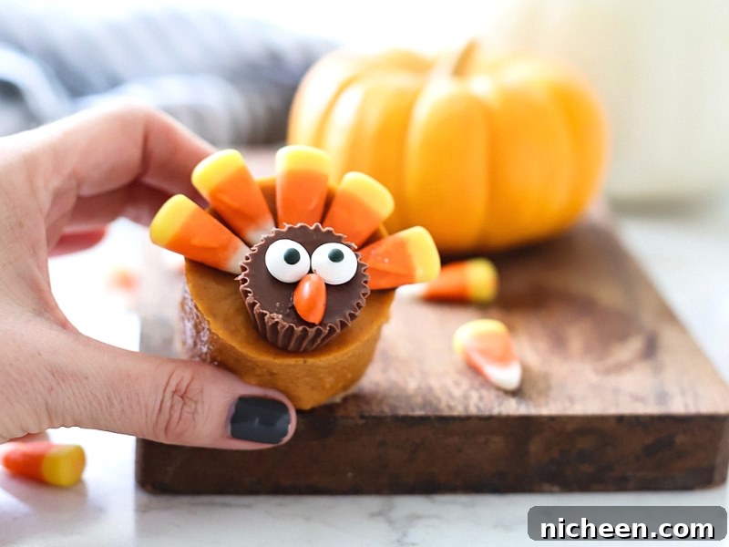 How to Make Pumpkin Pie Turkeys for Thanksgiving 3 Pumpkin Pie Turkey with pumpkin in background.