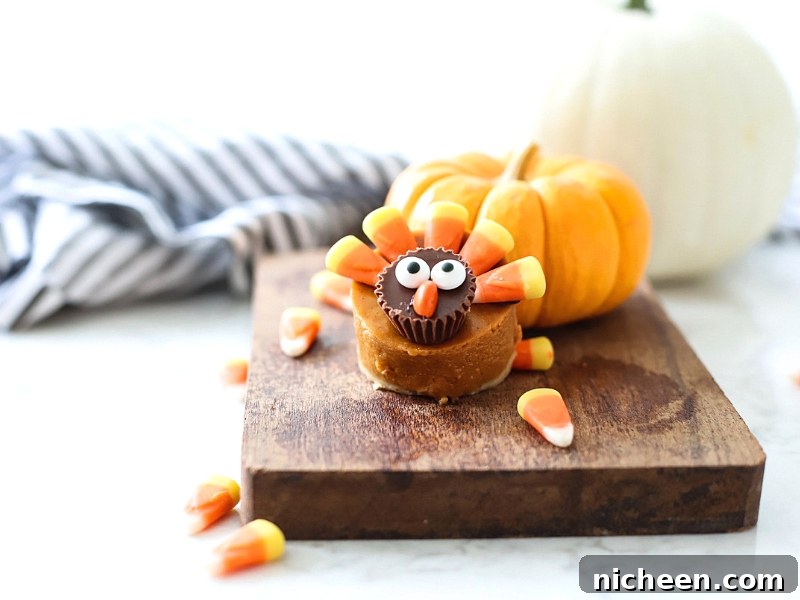 How to Make Pumpkin Pie Turkeys for Thanksgiving 4 Pumpkin Pie Turkey with candy corn feathers.