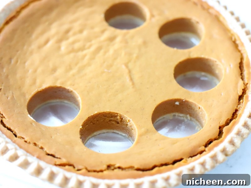 How to Make Pumpkin Pie Turkeys for Thanksgiving 5 Pumpkin Pie to make Pumpkin Pie Turkeys