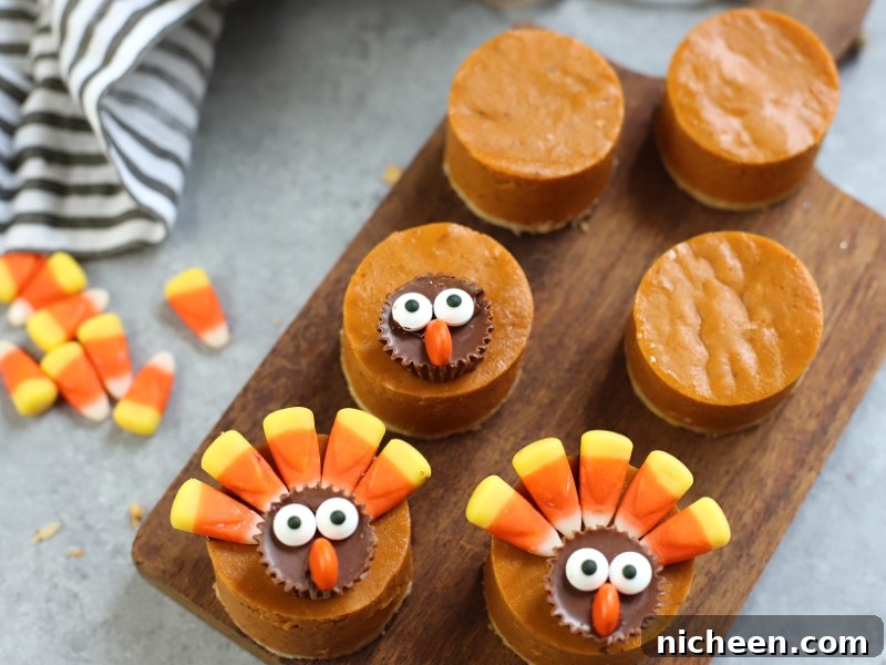 How to Make Pumpkin Pie Turkeys for Thanksgiving 8 Pumpkin Pie Turkey treat for thanksgiving.