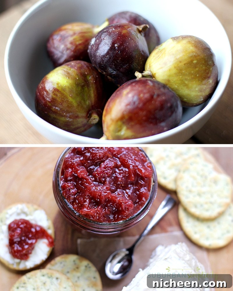 Paleo Strawberry Fig Jam Recipe 3 The perfect combination of savory and sweet, paleo strawberry balsamic fig jam! With no refined sugars it's paleo friendly and totally delicious! #paleojam #paleorecipe