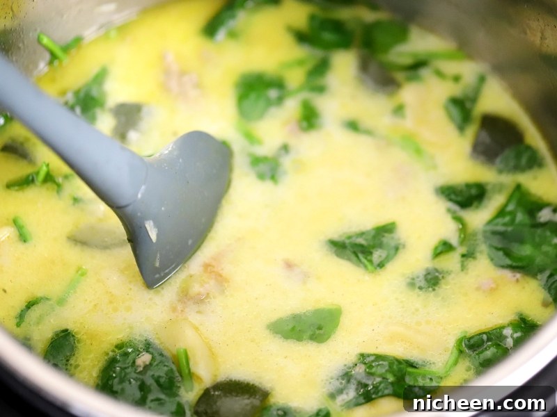 Creamy broth for Instant Pot Tortellini Pasta.
