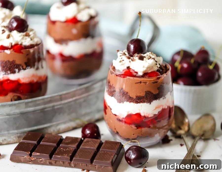 Cherry chocolate trifle with chocolate squares
