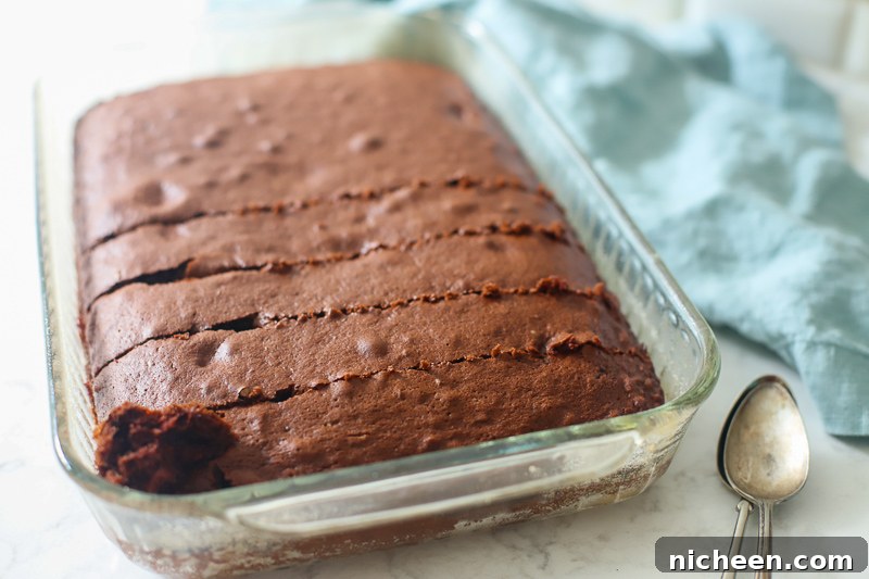 cake for chocolate trifle