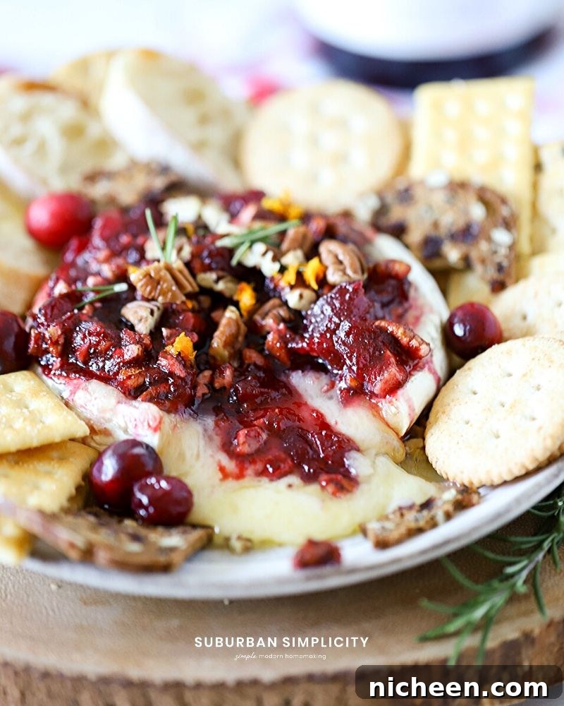 Cranberry topped brie cheese melting