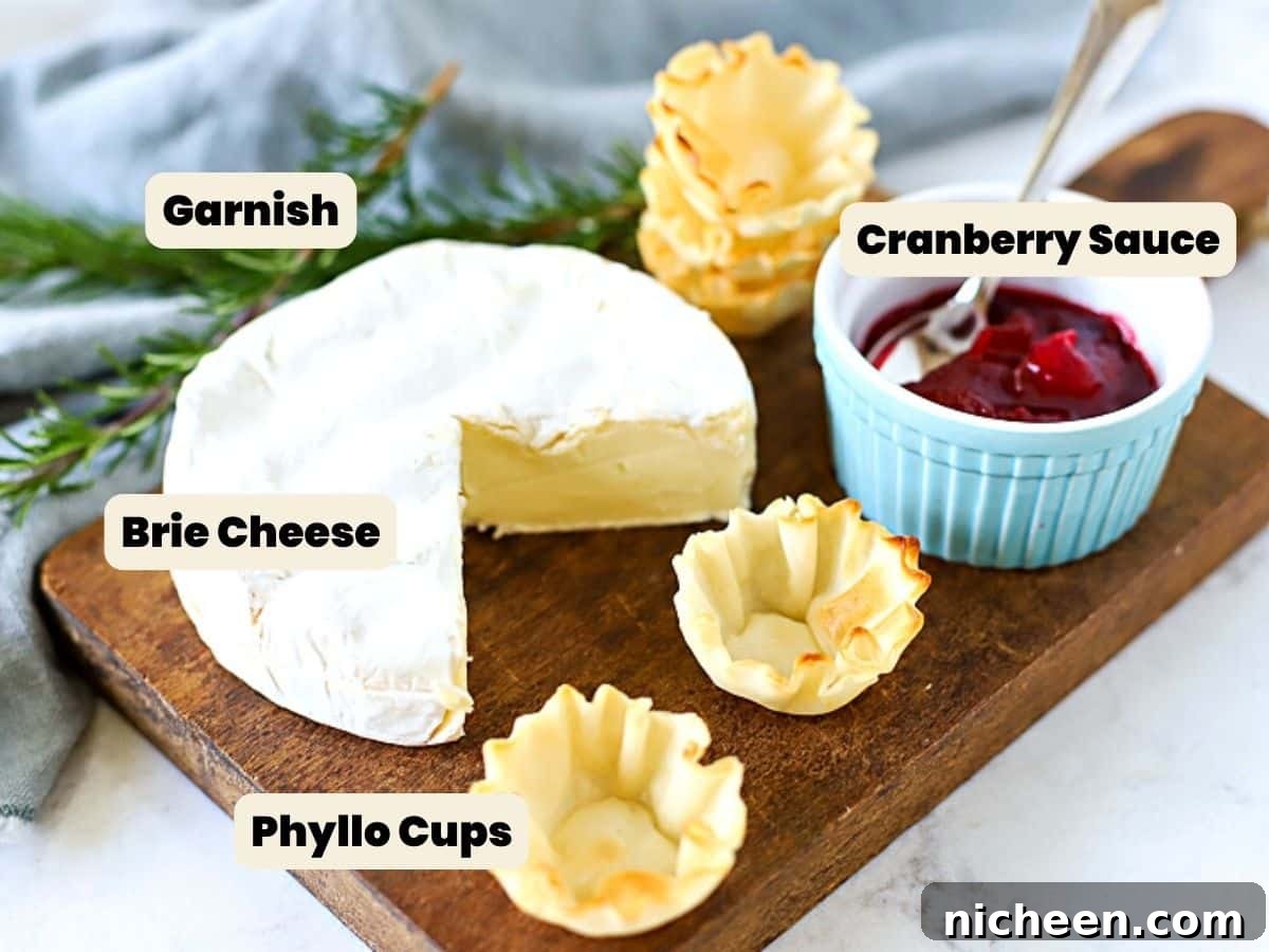 Brie cheese, phylllo cups, and cranberry sauce to make an appetizer.