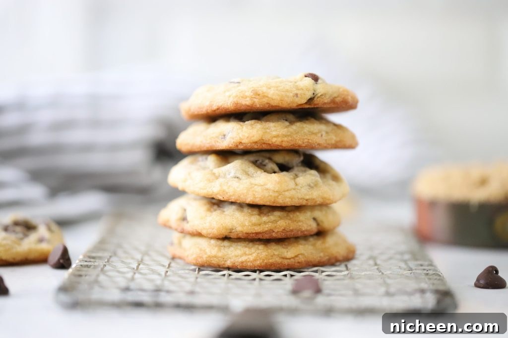 5 Chocolate Chip Cookies stacked together