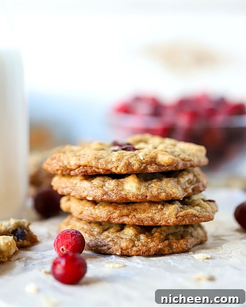Chewy White Chocolate Cranberry Oatmeal Cookie Recipe 10 cookies with cranberries in front of them