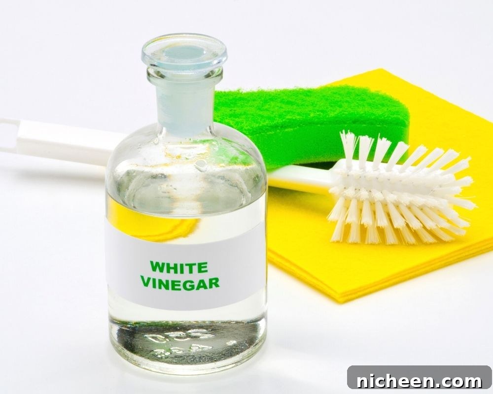 How to Deep-Clean Your Washing Machine: Step-by-Step 3 bottle of vinegar
