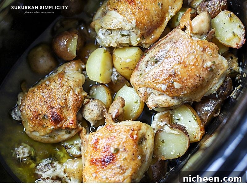 cooked chicken in the crock pot