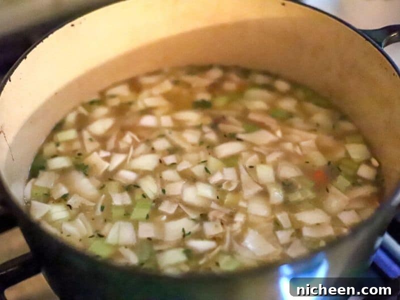 large pot with ingredients for turkey soup