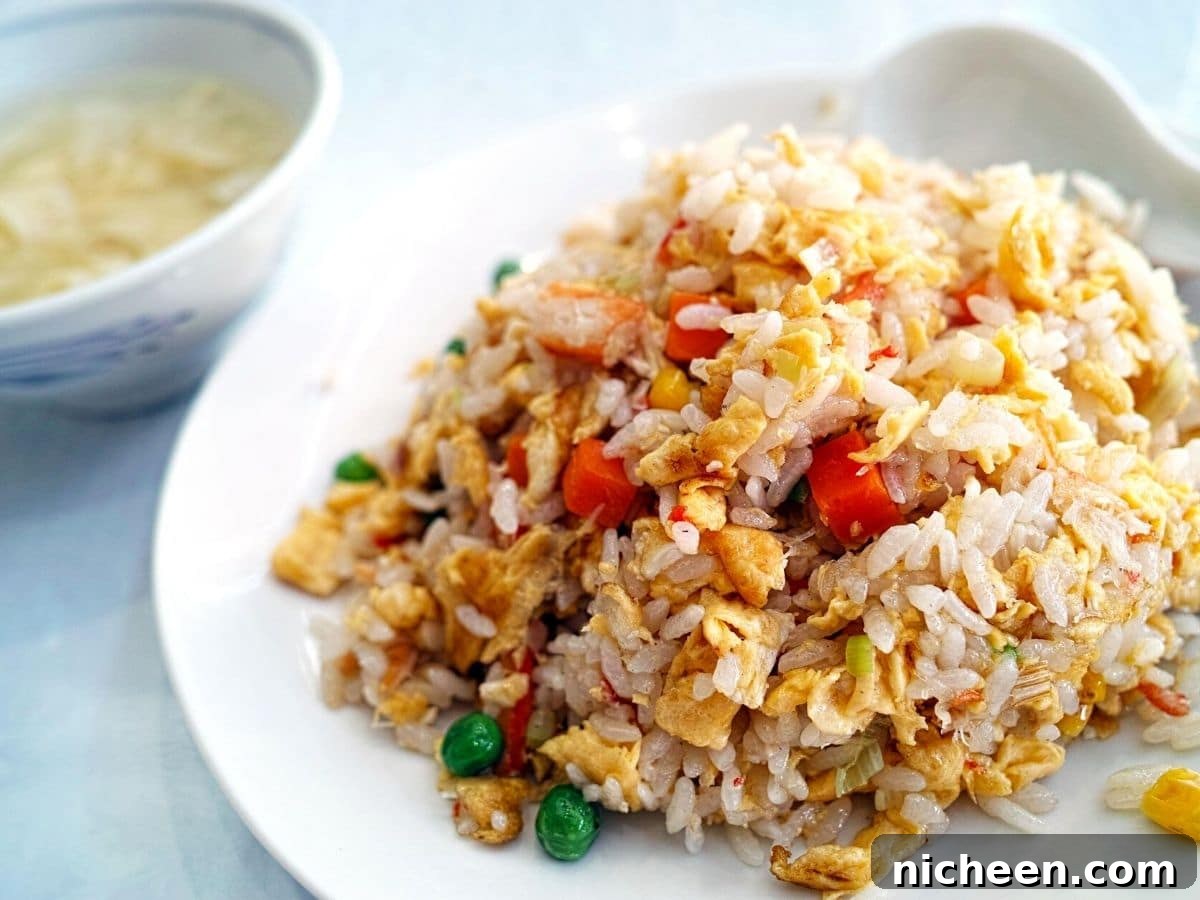 How to Freeze Chicken and Rice Safely 4 fried rice on a plate