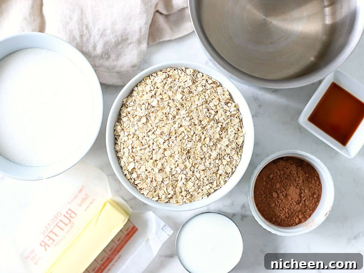 Peanut-Free No-Bake Chocolate Oat Cookies 3 Ingredients for no-bake cookies.