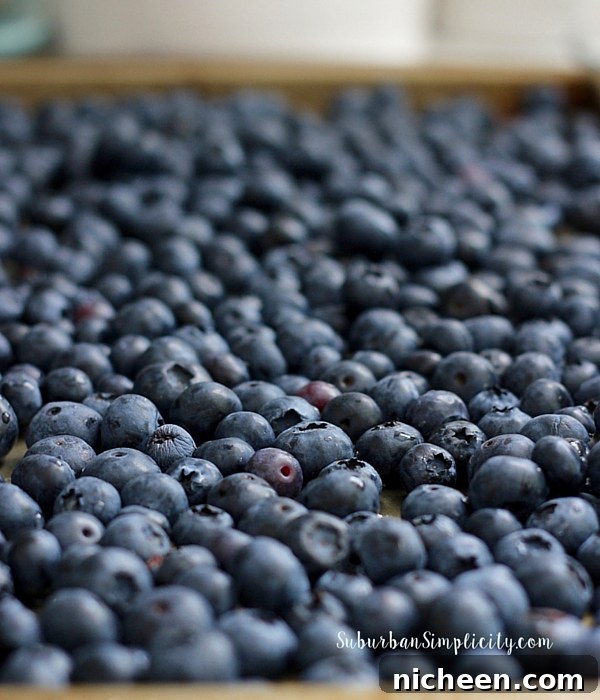 Meal Planning for Beginners: Save Time and Reduce Stress 4 Blueberries ready for baking