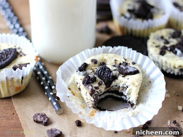 Mini Oreo Cheesecakes Recipe 2 Mini Oreo Cheesecake with a bite out of it.