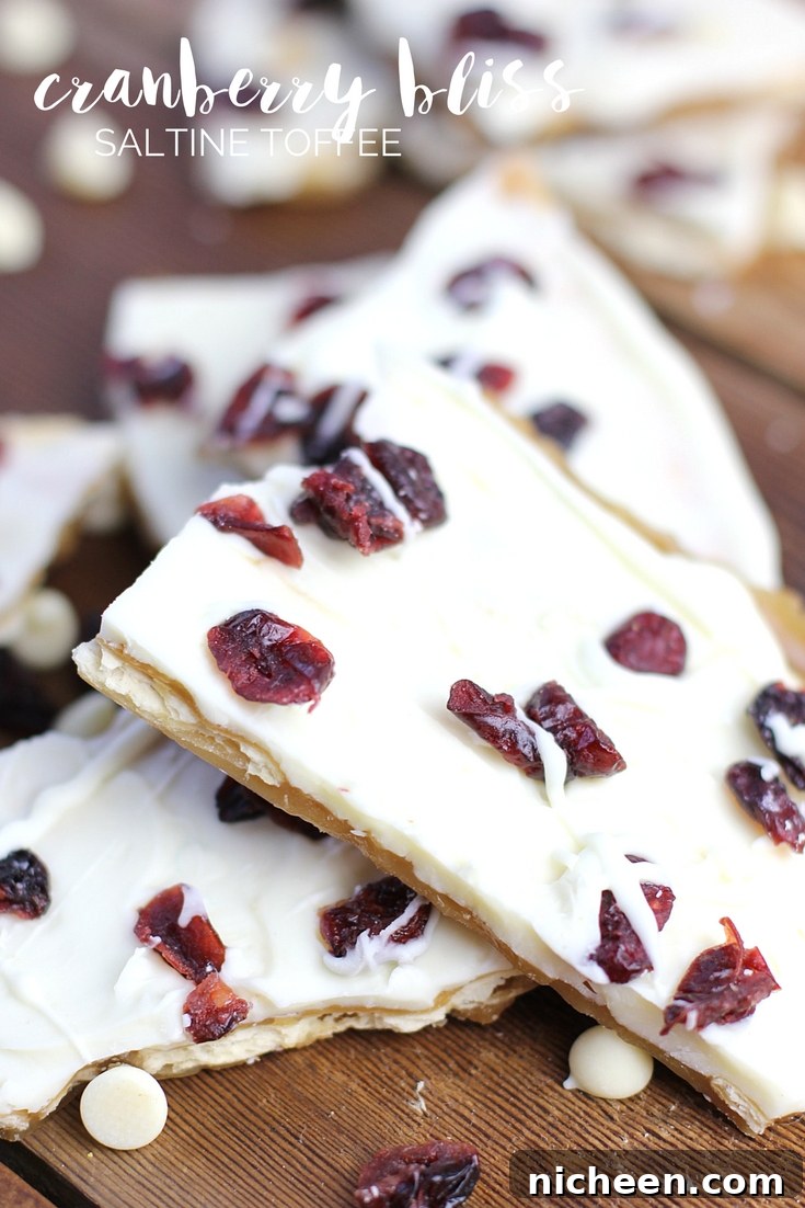 pieces of Cranberry Saltine toffee 