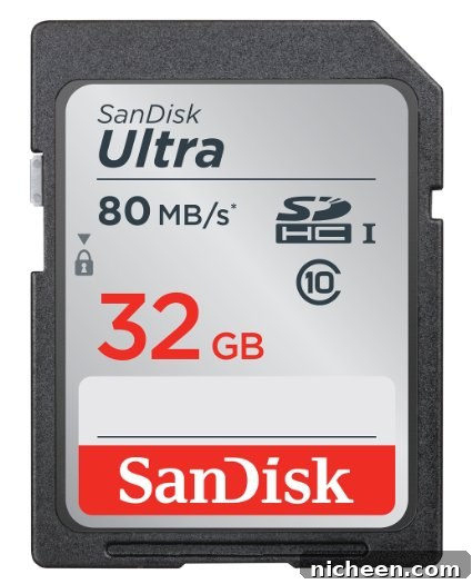 Beginner Photography Essentials: Camera Settings and Tips 7 SD card next to camera