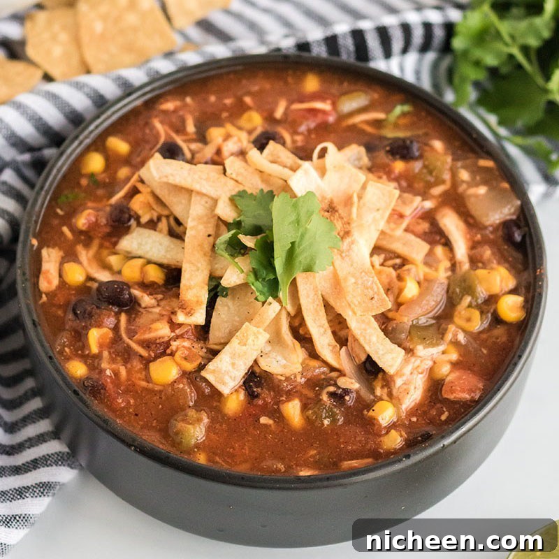 A bowl of crock pot stew