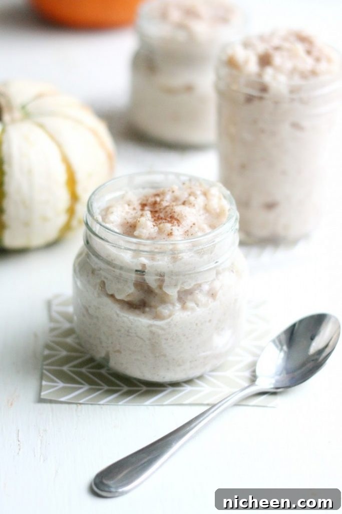 15 Pumpkin Spice Desserts to Try This Fall 7 Slow Cooker Pumpkin Spice Rice Pudding