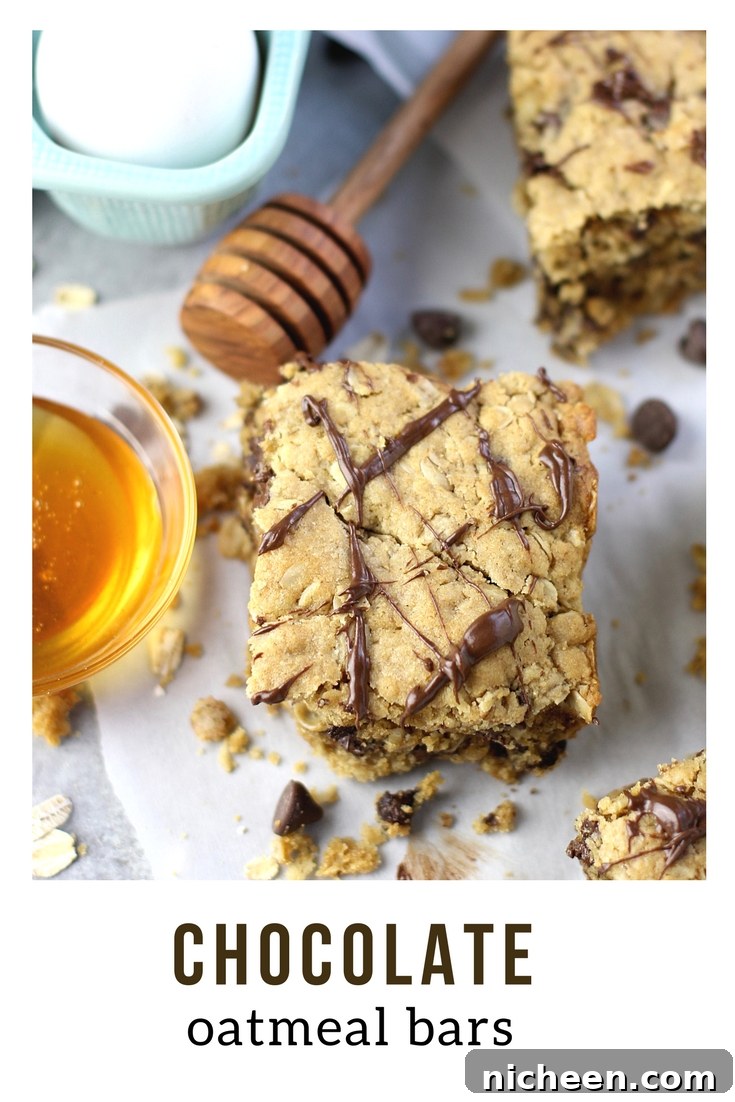 chocolate oatmeal bars