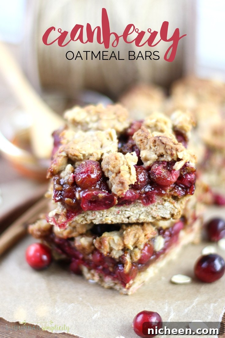 cranberry oatmeal bars